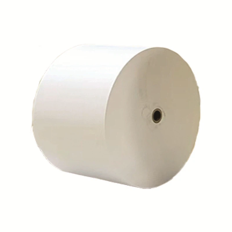 Polycoated Paper Roll